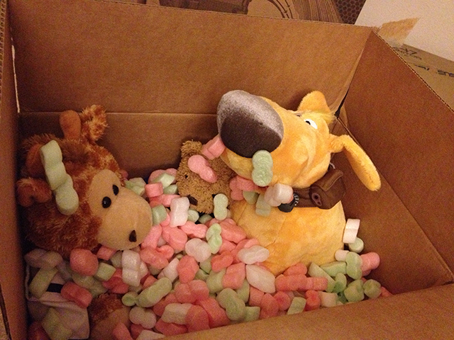 Stuffed animals in a box with styrofoam peanuts