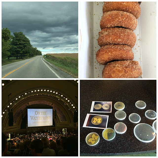 Top Left: a road in Michigan; Top Right: Cider mill donuts; Bottom Left: the stage of Hill Auditorium; Bottom Right: bacteria in petri dishes
