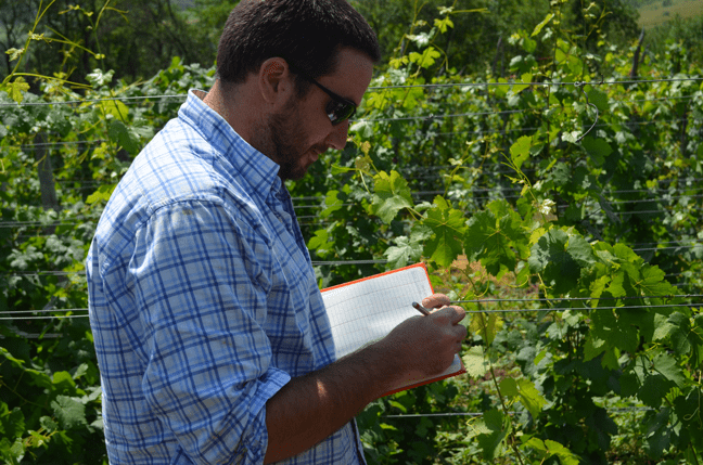 Field research in Transylvania