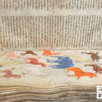 An open medieval manuscript with handwritten text on one page and colorful animal illustrations on the other, includes "Earth Day at 50" text overlay.