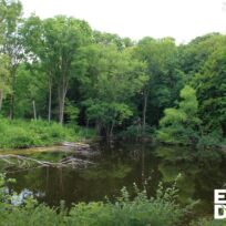 A tree-lined pond with text reading "Earth Day at 50" in the lower right corner.