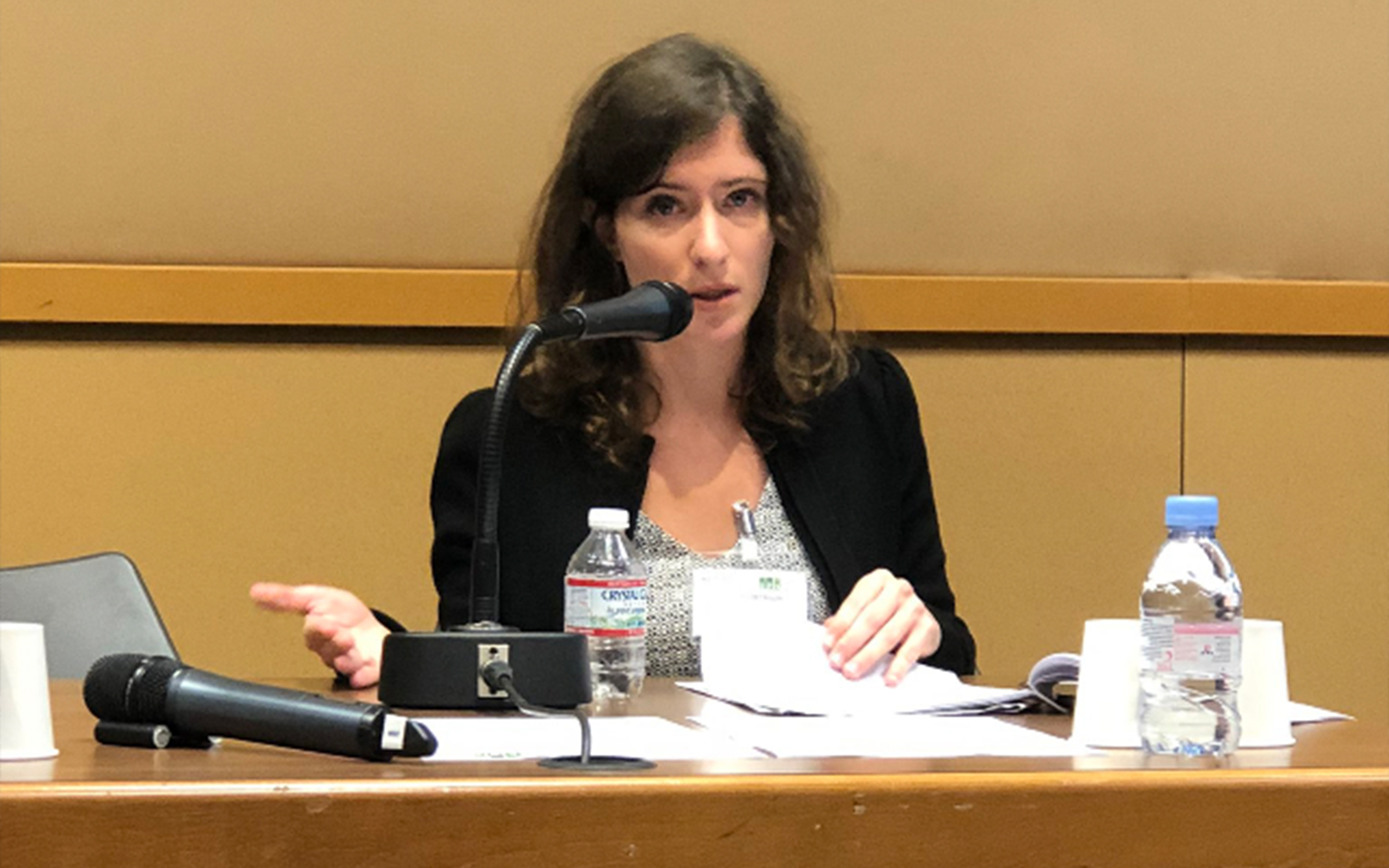 Sarah Rozenblum sits at a conference table.