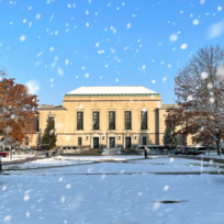 A large building with columns stands in the background on a snowy day, surrounded by snow-covered trees and bushes, with snowflakes falling gently from a clear blue sky.