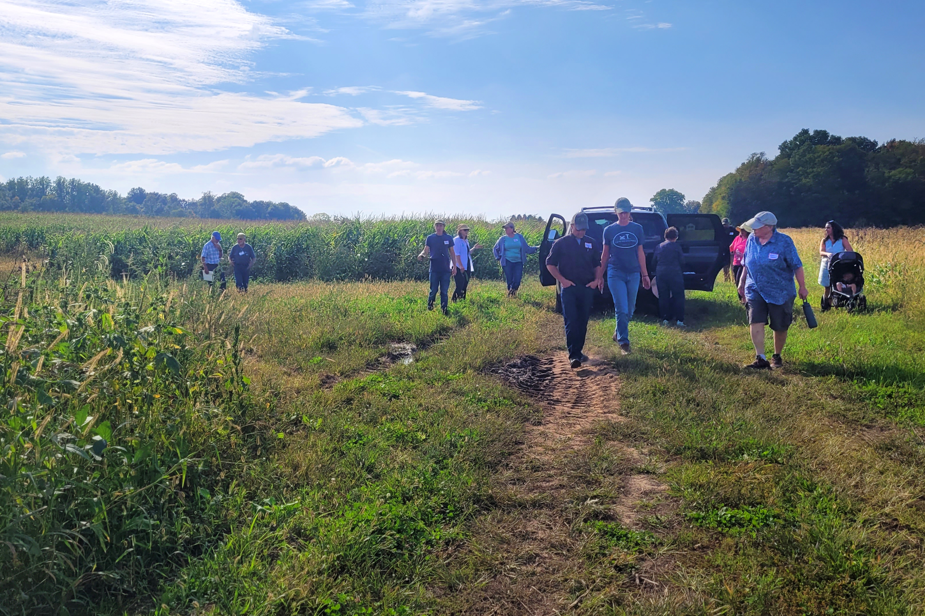 A group of people walking through a field.