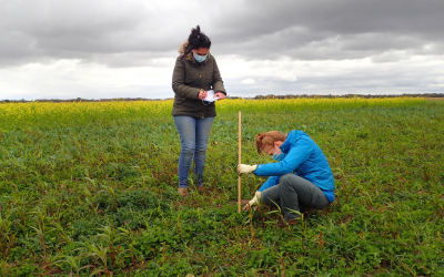 Adapting Crops for People and the Planet