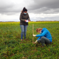 Two women standing in a field. One is taking notes and the other is measuring something in the ground with a yardstick.