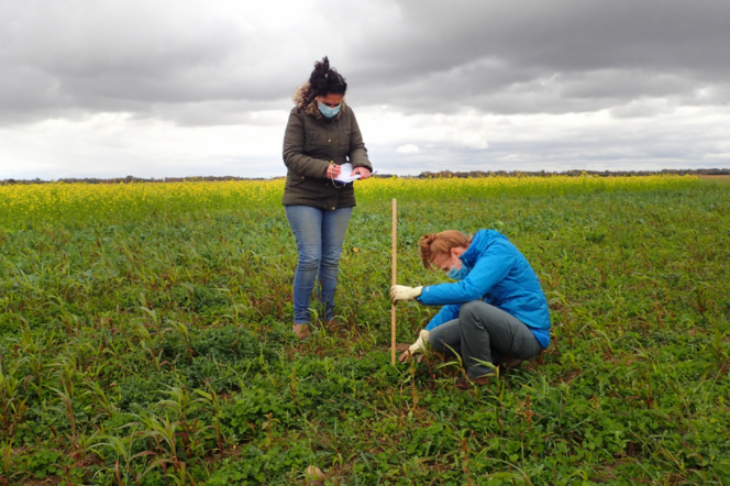 Two women standing in a field. One is taking notes and the other is measuring something in the ground with a yardstick.