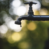 A close-up of a metal faucet with a droplet of water hanging, set against a blurred, nature-inspired background.