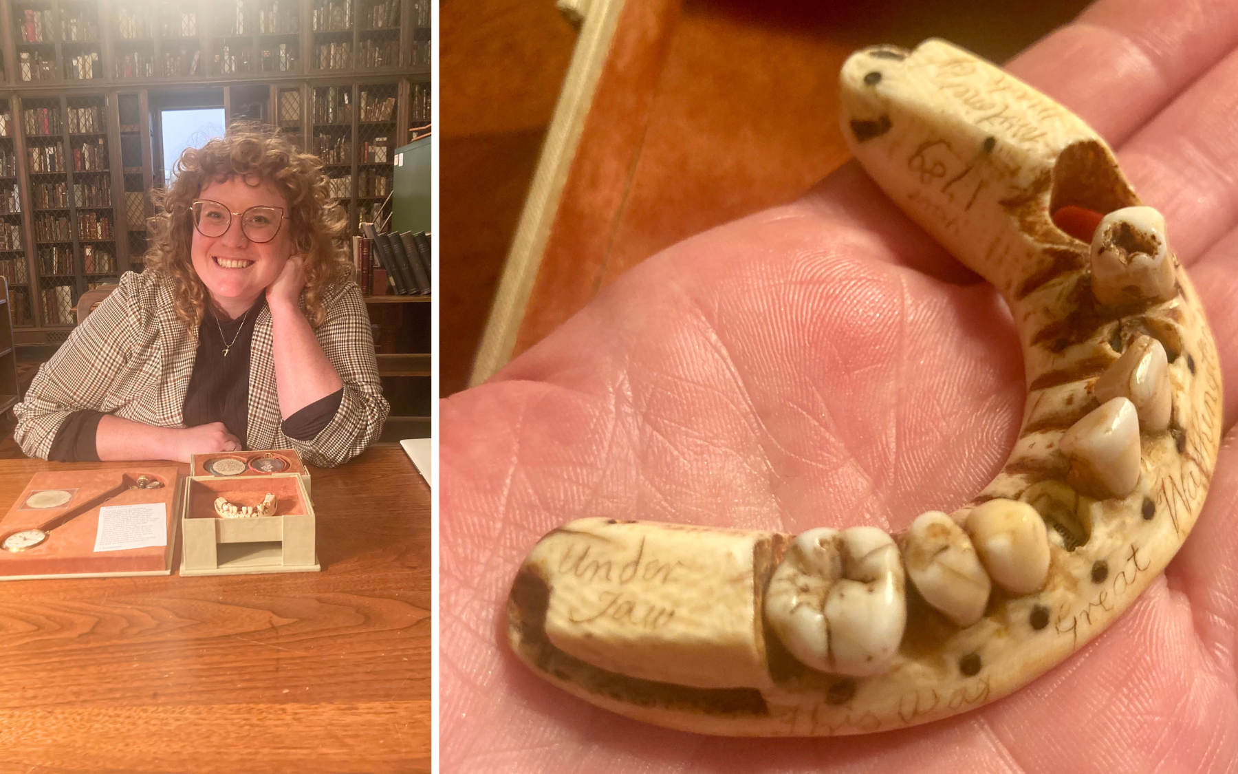 A person with curly hair and glasses sits at a wooden desk with artifacts in front of them. Close-up of a hand holding a small, curved object with several teeth attached.