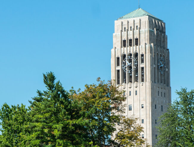 A tall, beige clock tower with a green roof rises above trees under a clear blue sky.