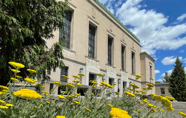 Yellow flowers in front of a beige stone building with tall windows, under a blue sky with white clouds.