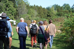 A group of people walks together on a grassy path surrounded by trees and shrubs on a sunny day.