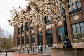 Two students climb the stairs to the front door of Hatcher Graduate Library. Flowers bloom and bud on a tree branch hanging in the foreground.