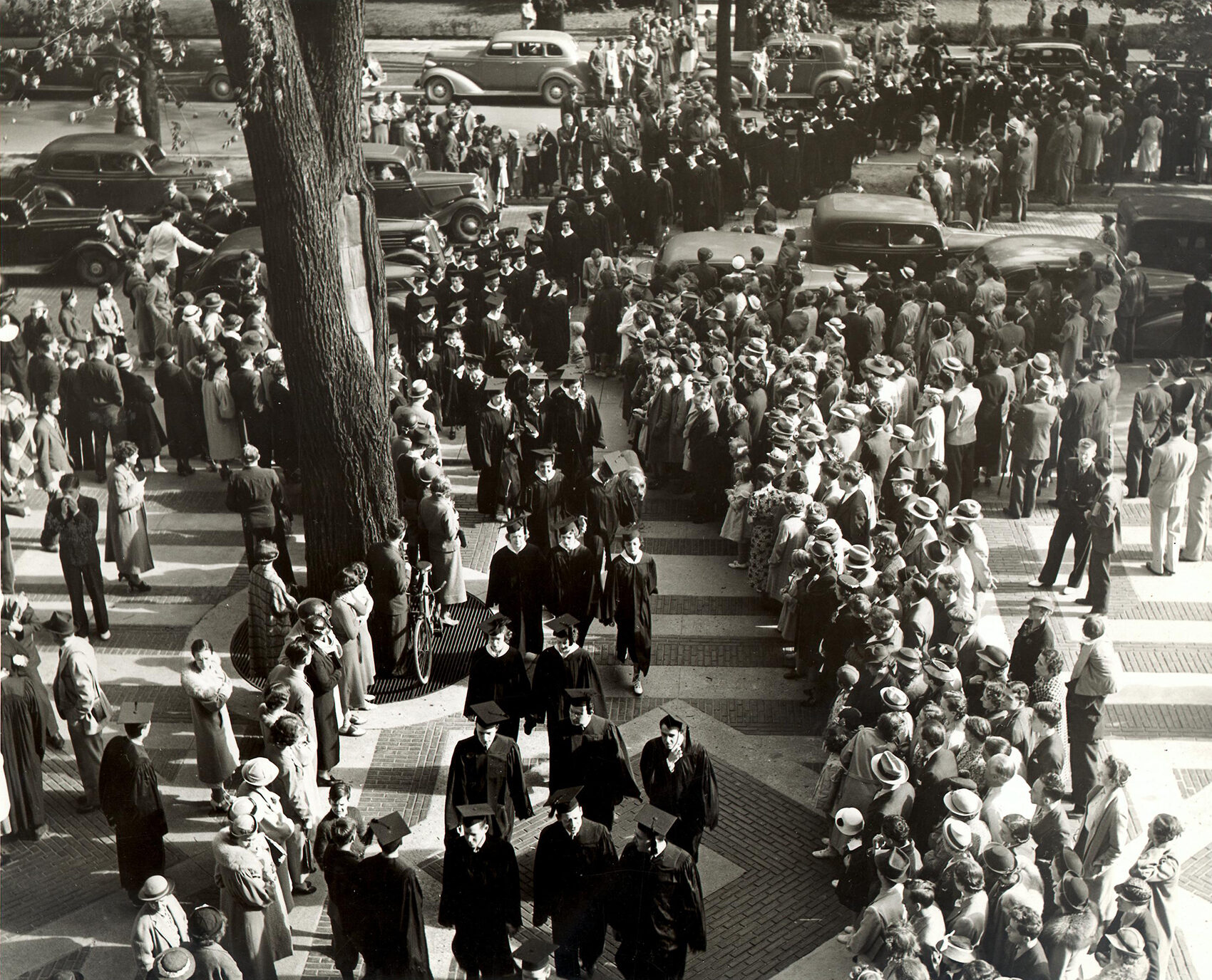 A large crowd stands on either side of a tree-lined street, watching people in dark coats and hats walk in procession along a paved path, with vintage cars parked nearby.