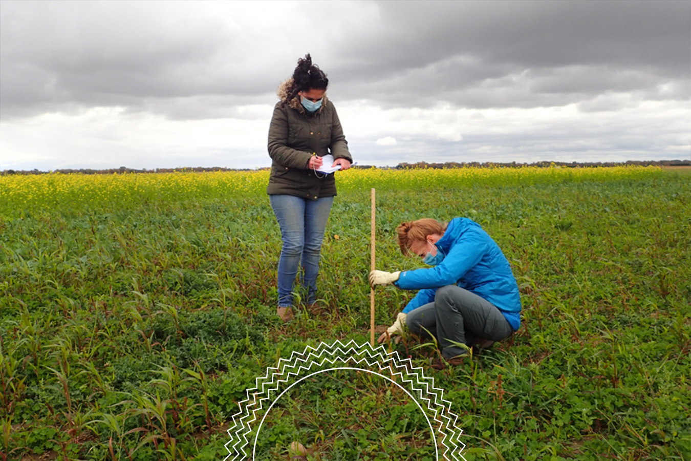 Two people in jackets and masks collect data in a field; one kneels with a measuring stick, while the other writes on a clipboard under a cloudy sky.