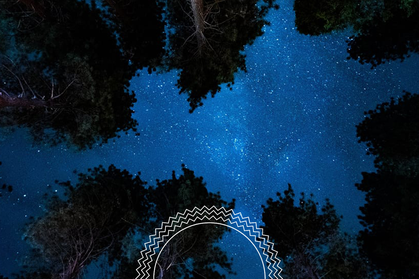 Tall trees frame a clear night sky filled with stars. There is a decorative white circular pattern at the bottom of the image.