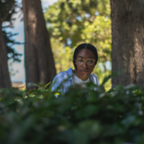 A person with braided hair and glasses looks down while sitting behind a hedge in a park with trees.